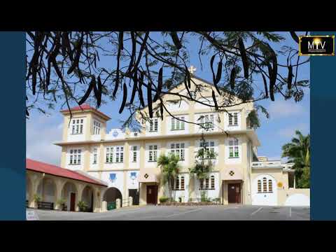 The Luminous Mysteries of the Rosary - Thursday 19 October 2023