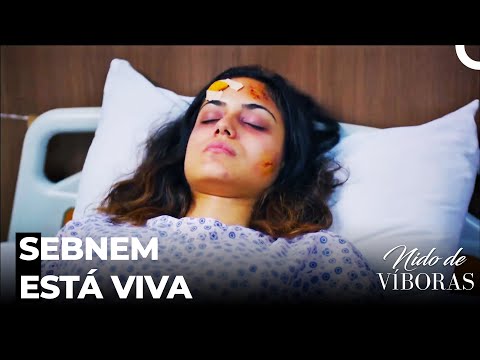 Alguien Le Encontró A Sebnem - Nido De Víboras