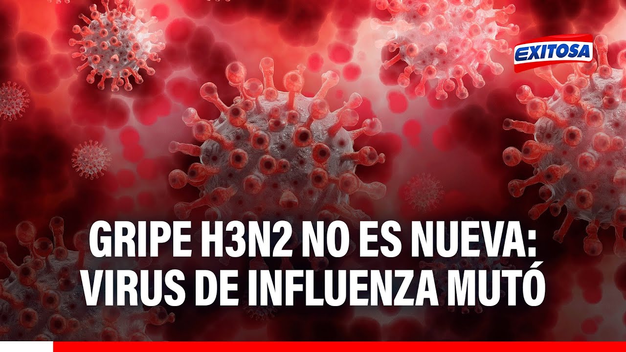 🔴🔵 Influenza H3N2 en Perú: Virus NO ES NUEVO y MUTÓ para ser MÁS CONTAGIOSO, señala experto