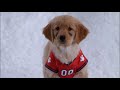 Buddies Don T Pull His Paw Budderball Farting Compilation