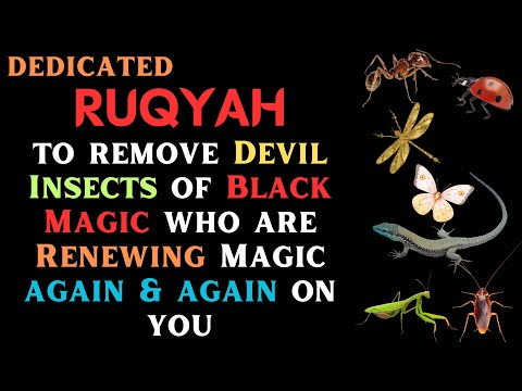 Dedicated Ruqyah to remove Devil Insects of Black Magic who are Renewing Magic again & again on you