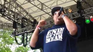 Homeboy Sandman- Mine All Mine @ Central Park, NYC