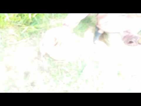 Potassium salt of phosphonic acid liquid, 25kg bag