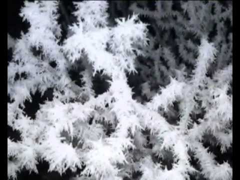 Petr Komár Soudek - Annakomda