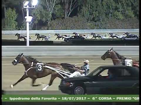 6^ CORSA G P REGIONE SICILIA MEMORIAL G Pizzo  E 33 000 GRUPPO 3 M 1600