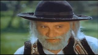 Pădurea și viețuitoarele ei