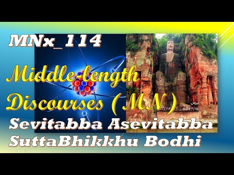 MNx_114 To Be Cultivated and Not To Be Cultivated, Bhikkhu Bodhi, Middle-(Feb 2020, Audio Texts)