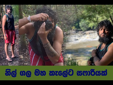 THUSHARA GALLESSAGE,NILGALA