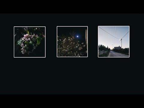 Colors Bleed Into One | by Dominic Hale  – Lyrics | English & Arabic Translation