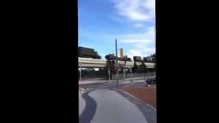 Struttin' around in Winnipeg