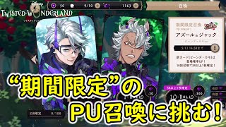 【ツイステ】"期間限定"のPU召喚に挑む！