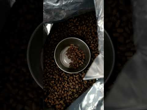 Worms in royal canin