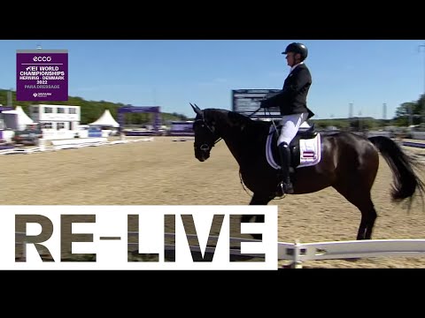 RE-LIVE | Individual - Grade II - Para Dressage - ECCO FEI World Championships 2022