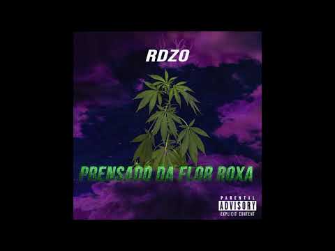 RDzo - Prensado da flor roxa(Prod. TREETIME/Famed)