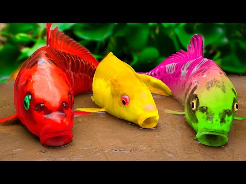Cá Chép Rực Lửa Vs Băng Giá Đuổi Bắt Chiếc Giày | Thử Nghiệm Nấu Ăn | Stop Motion ASMR | Coco