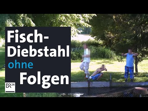 Fischwilderei: Straftat, die (häufig) nicht bestraft wird | Abendschau | BR24