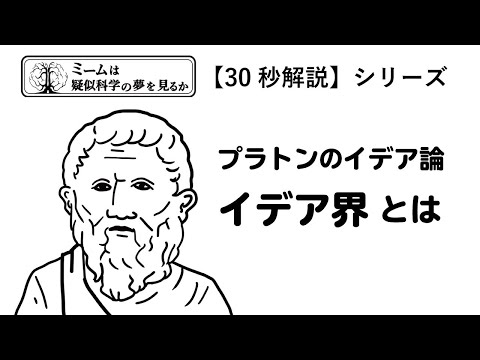 フェドリツィオイデアについて詳しく解説