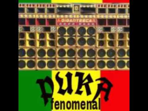 Reggae Melô de Lindomar