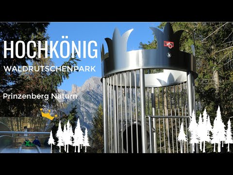 Hochkönig Waldrutschenpark