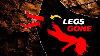 Download lagu Caver Loses Legs In Most Gruesome Way | Caving Gone Horribly Wrong mp3 Download lagu Caver Loses Legs In Most Gruesome Way | Caving Gone Horribly Wrong mp3