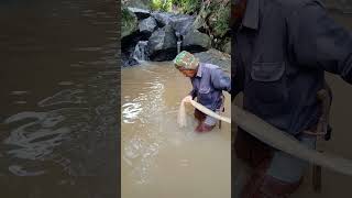 Download lagu Jala Ikan || Ngecrik #shorts mp3