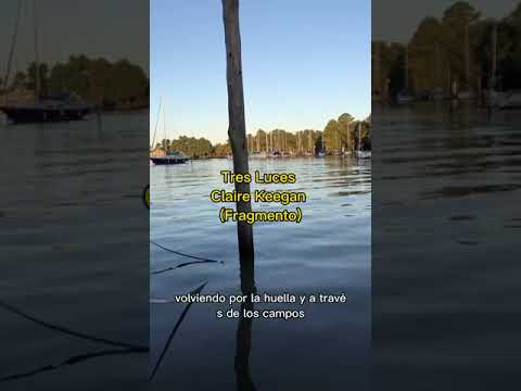 Cillian Murphy sobre producir una película basada en el libro de Claire Keegan