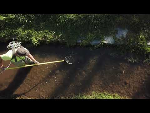 Elektromos halászgép - Sallai Zoltán, Bükkös-patak, 2020.09.08.