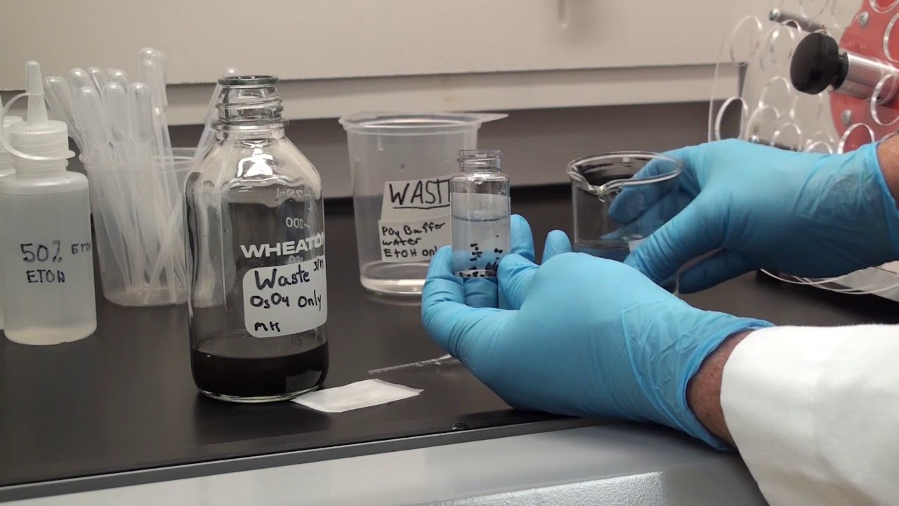 Biological TEM Processing