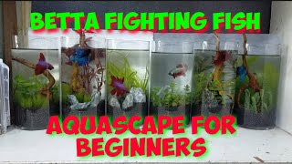 AQUASCAPE FOR BEGINNERS / AQUASCAPE FOR BETTA FIGHTING FISH