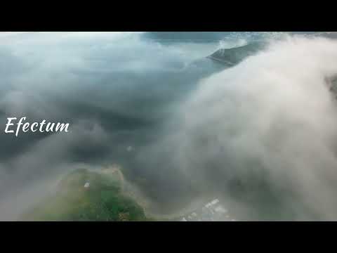 #nature #sky #sun #summer #beach #sunset #sunrise #flowers #tree #twilight #clouds #beauty  #weather