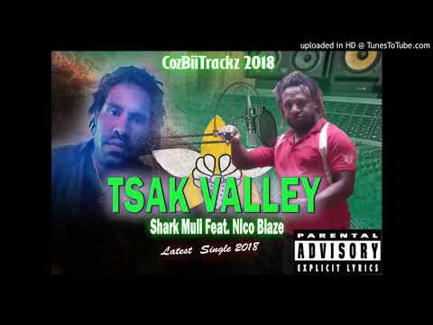 Shark Muli _ Tsak Valley 2 (Feat. Nico Blaze)