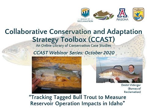 Tracking Tagged Bull Trout to Measure Reservoir Operation Impacts in Idaho