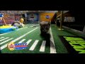 PUPPY BOWL VI- Kitty Halftime Show - YouTube