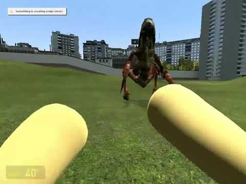 Losing a fight to an antlion guard