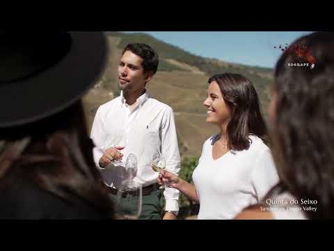 Portuguese Wine Tourism - Taste & Feel Portugal