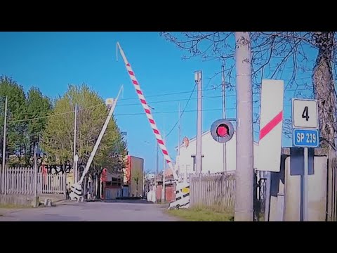 Passaggio a livello Borgoratto Alessandrino (AL) Stazione FFSS treno in transito #levelcrossing