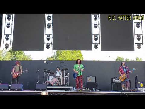 Pigeon  Playing  Ping Pong  -- August-25-2018 -- LOCKIN' 2018