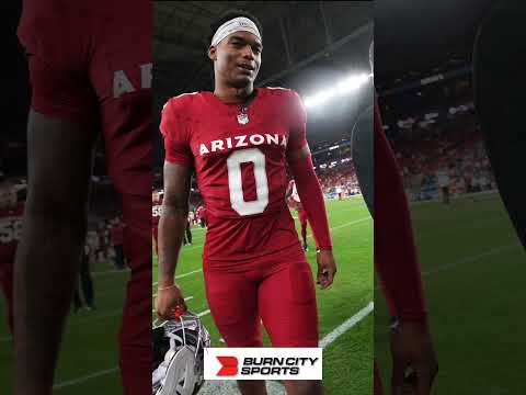 Cardinals Will Johnson shines in rookie debut