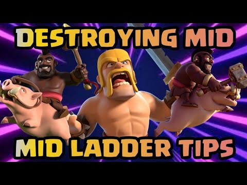 DESTROYING MID LADDER with 2.6 Hog Cycle!!!