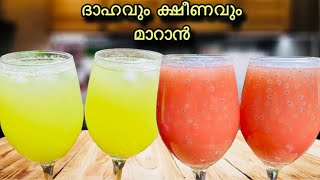 ഈ ചൂടിന്റെ ദാഹവും ക്ഷീണവും മാറാൻ 😋ഇതൊരു ഗ്ലാസ്സ് മതി 👌Easy Summer Special Refreshing Drink Recipe 