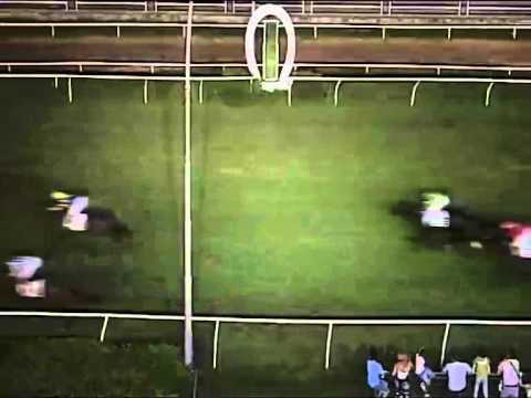 Galoppo 19/07/2014 - Corsa 8