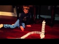 Domino Dora Tower Finally Goes Down