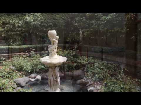 SOLD - 5A Ventnor Road, Remuera - Debbie-Lee Wallace