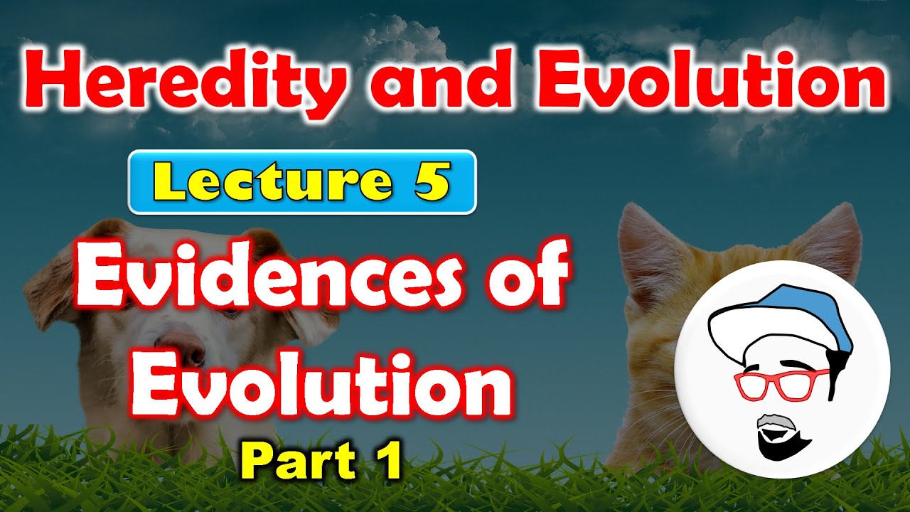 Evidences of Evolution (Part1) || Heredity and Evolution Class 10 SSC CBSE