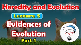 Evidences of Evolution (Part1) || Heredity and Evolution Class 10 SSC CBSE