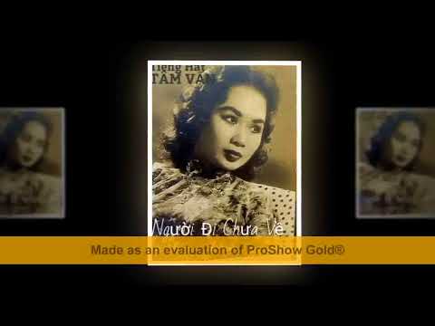 Người đi chưa về - Tâm Vấn