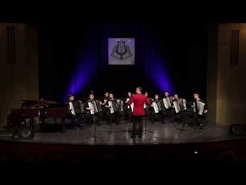 Miloš Zec & Accodrion Orchestra Sky Glory:   It is just a party  (To je samo žurka)