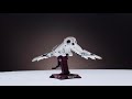 Open video