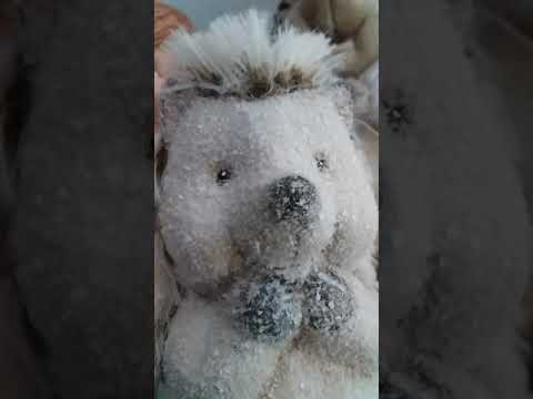 Nur ein bild von dir