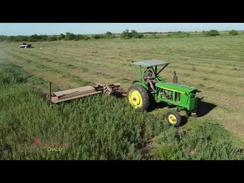 ALFALFA - Ing. Agr. Omar García - Villa Angela Chaco - Segunda Parte